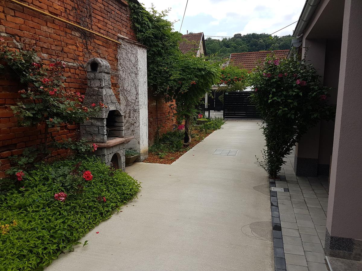 Nunanina Apartmani Pozega Buitenkant foto